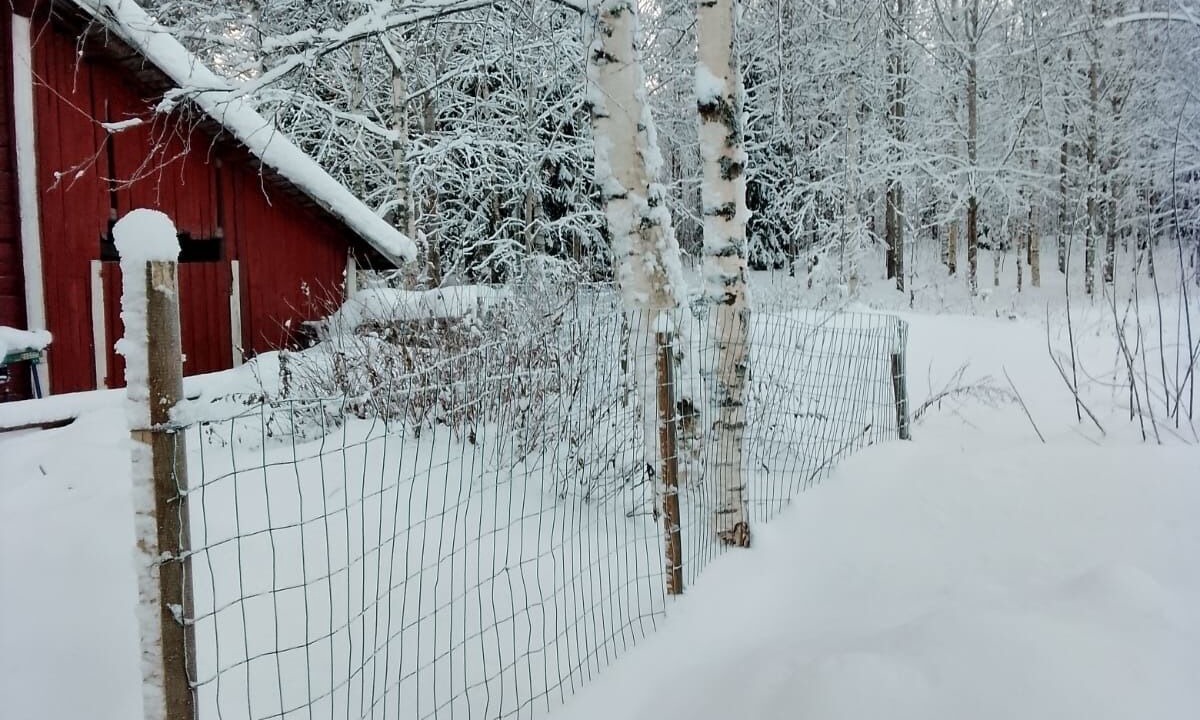 Photo of Outdoor in Raakkyla