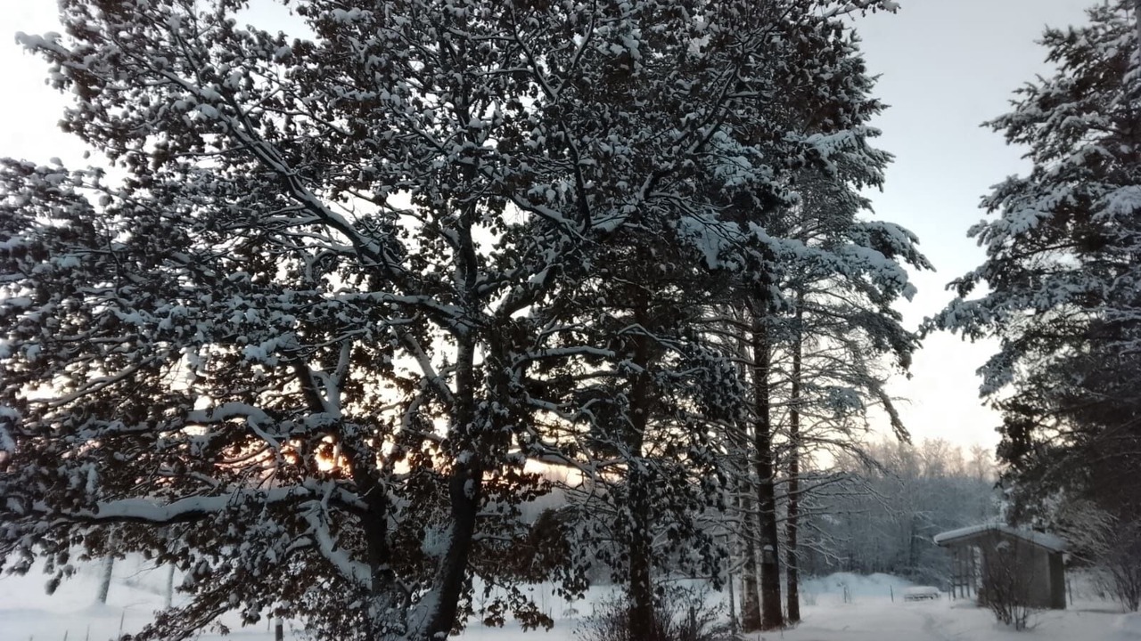 Photo of Outdoor in Raakkyla