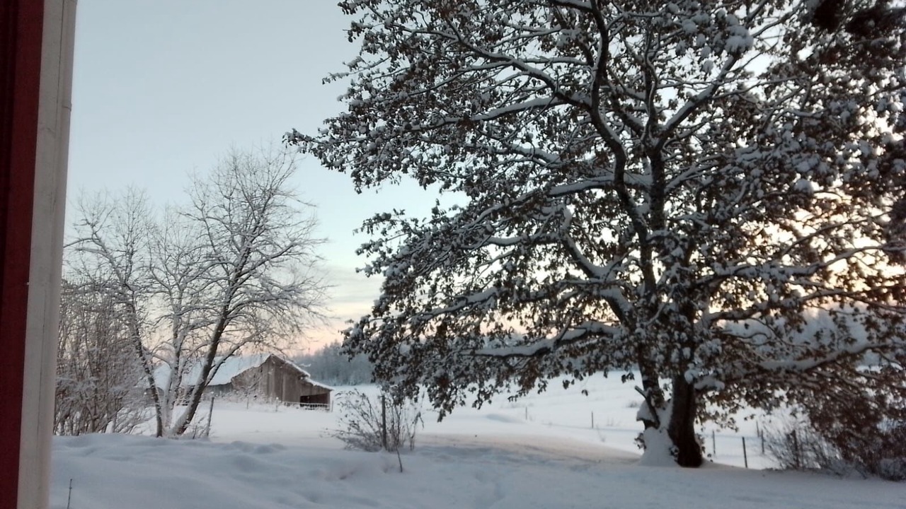 Photo of Outdoor in Raakkyla