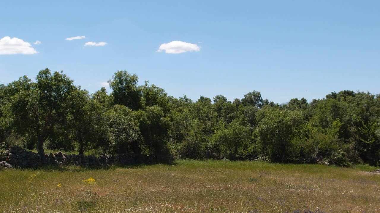Photo of Outdoor in Cabanillas del Monte