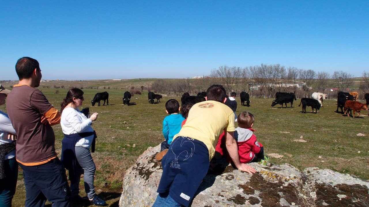 Photo of Outdoor in Cabanillas del Monte
