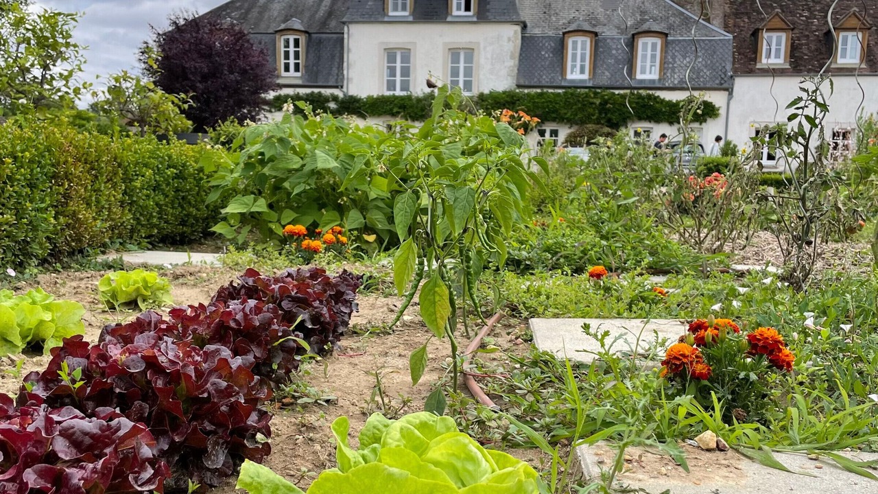 Photo of Outdoor in Paucourt