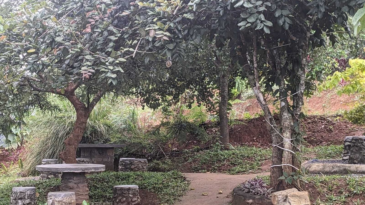 Photo of Outdoor in Mannarkkad