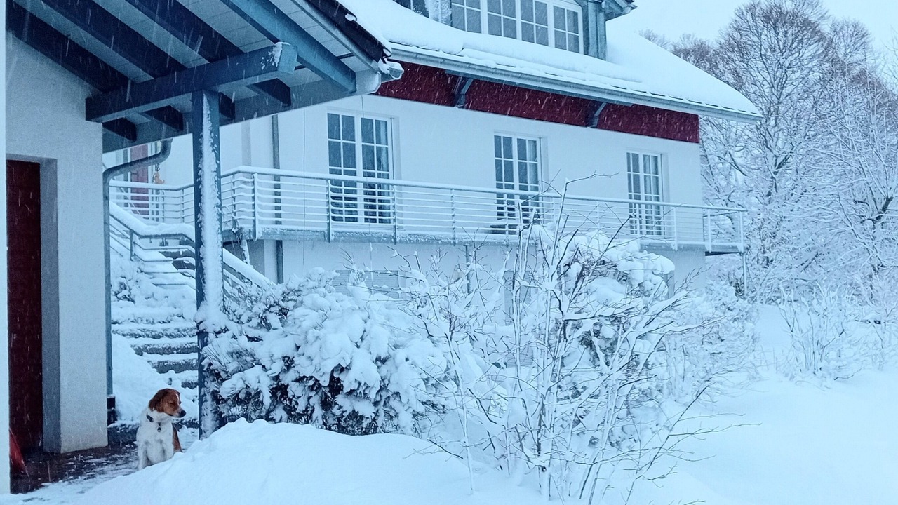 Photo of Outdoor in Breitnau