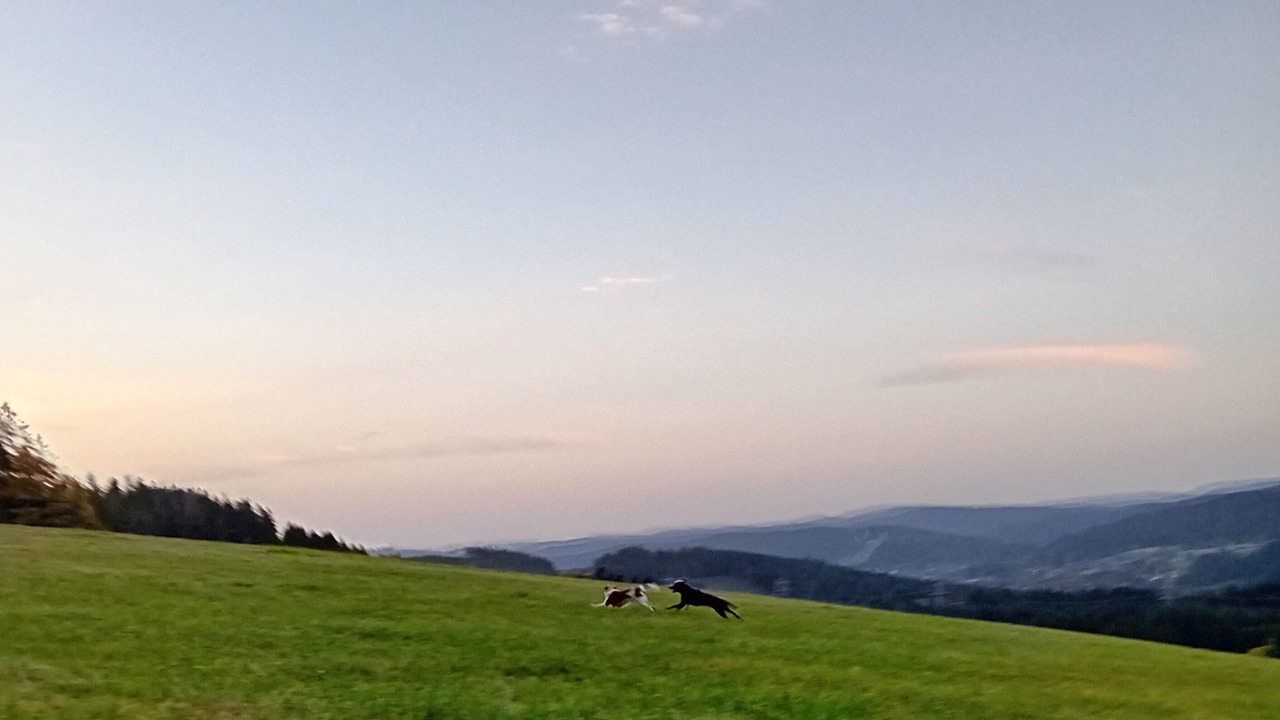 Photo of Others in Breitnau