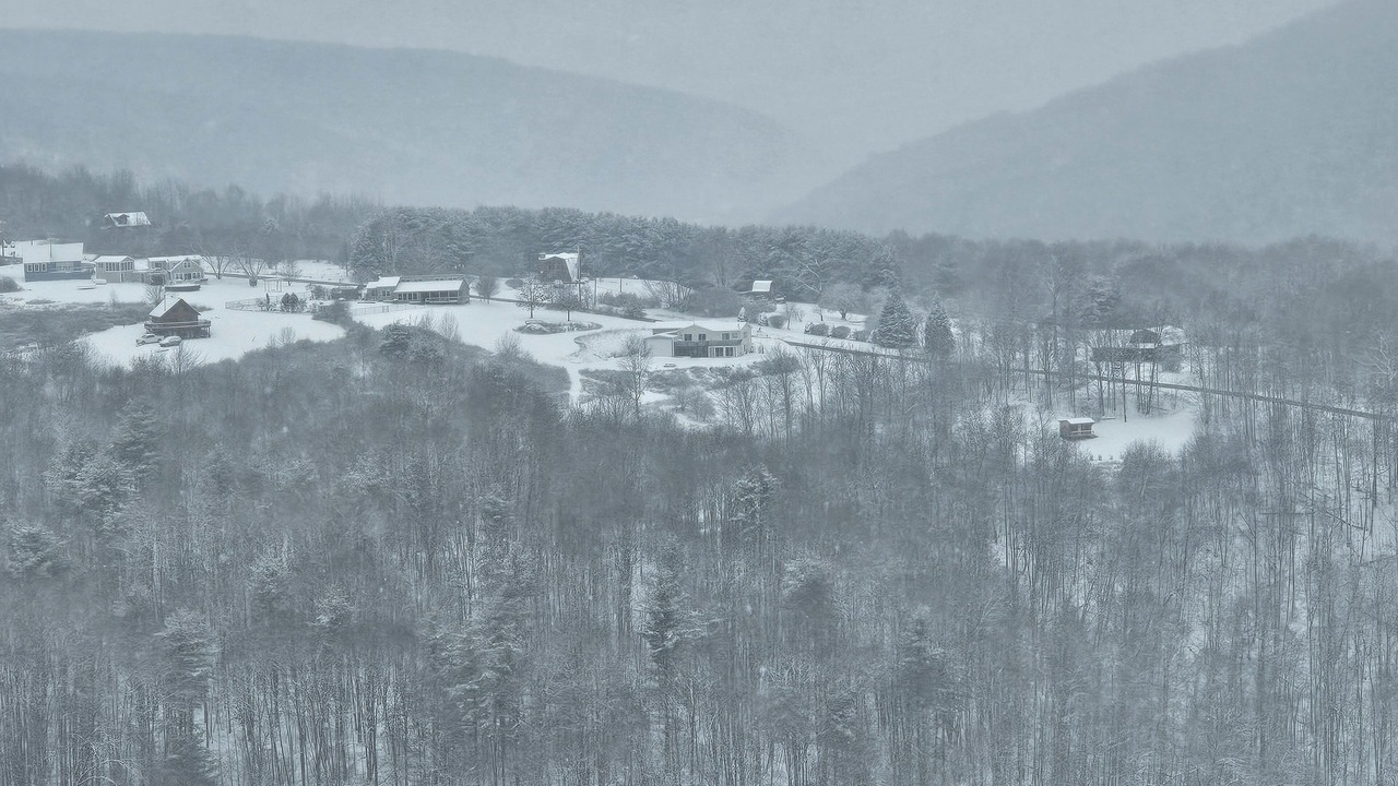 Photo of Outdoor in Swain