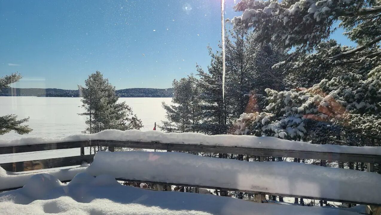 Photo of Outdoor in Algonquin Highlands