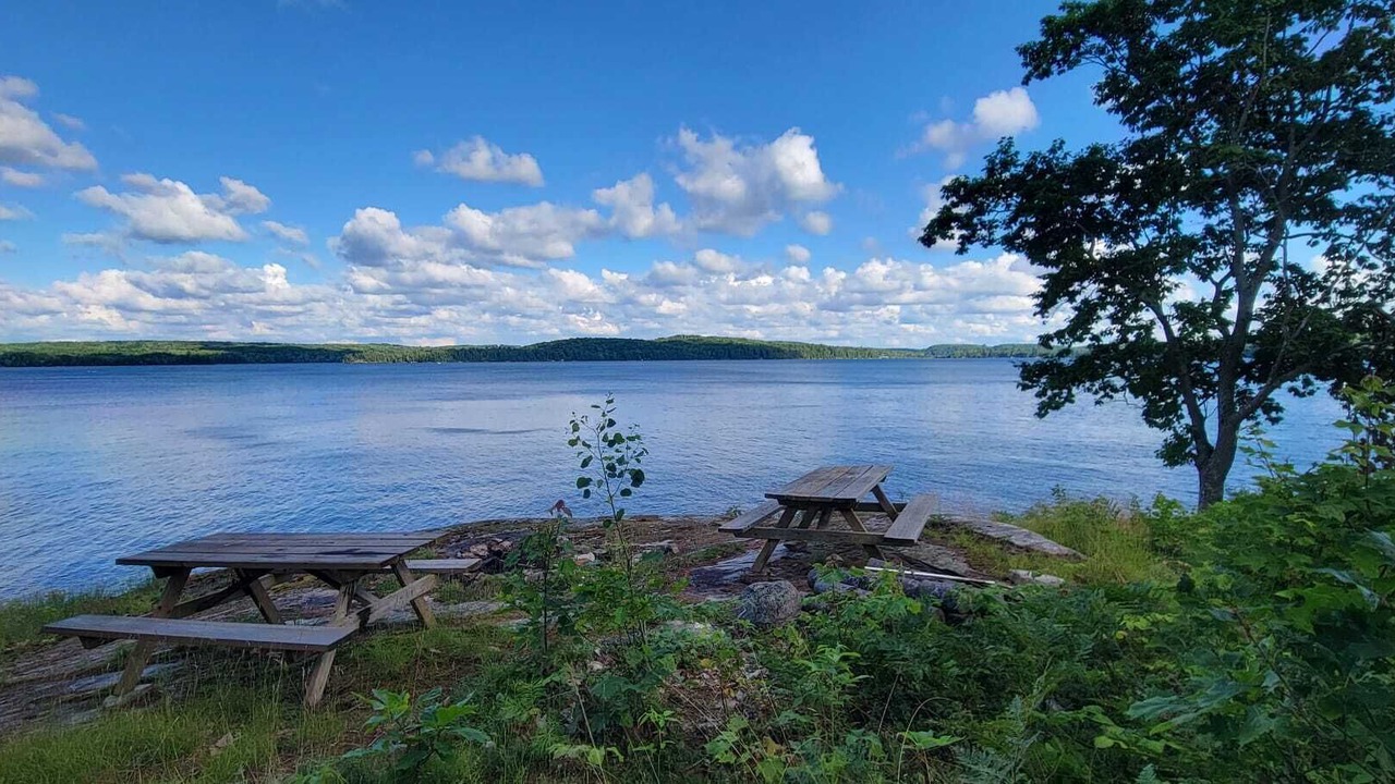 Photo of Outdoor in Algonquin Highlands