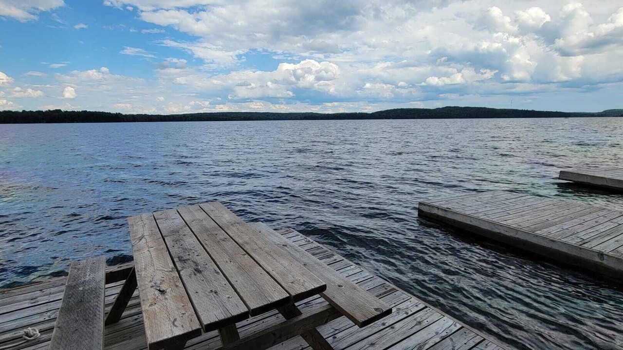 Photo of Outdoor in Algonquin Highlands
