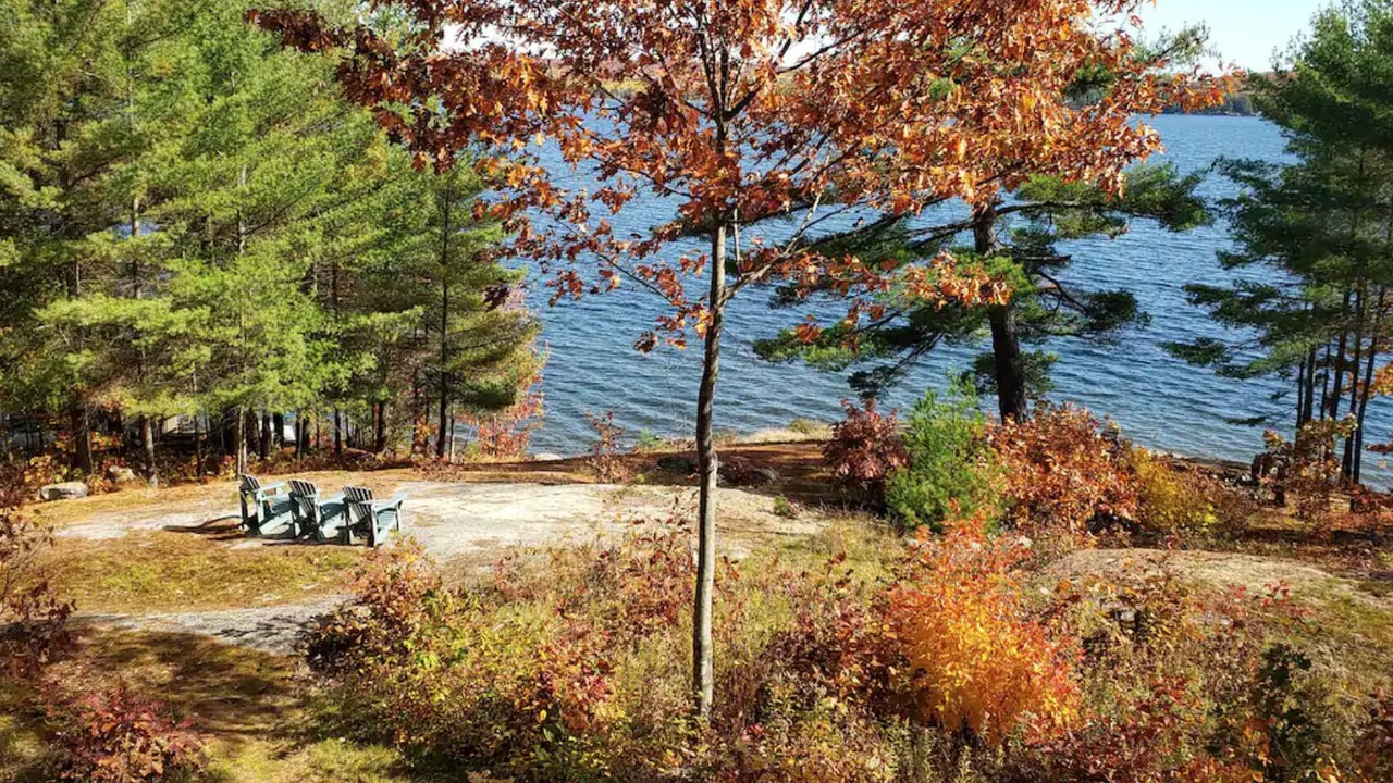 Photo of Outdoor in Algonquin Highlands