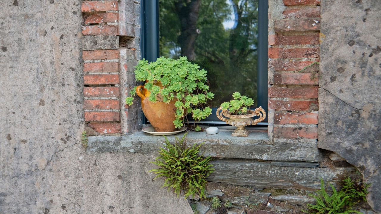Photo of Outdoor in Dourgne