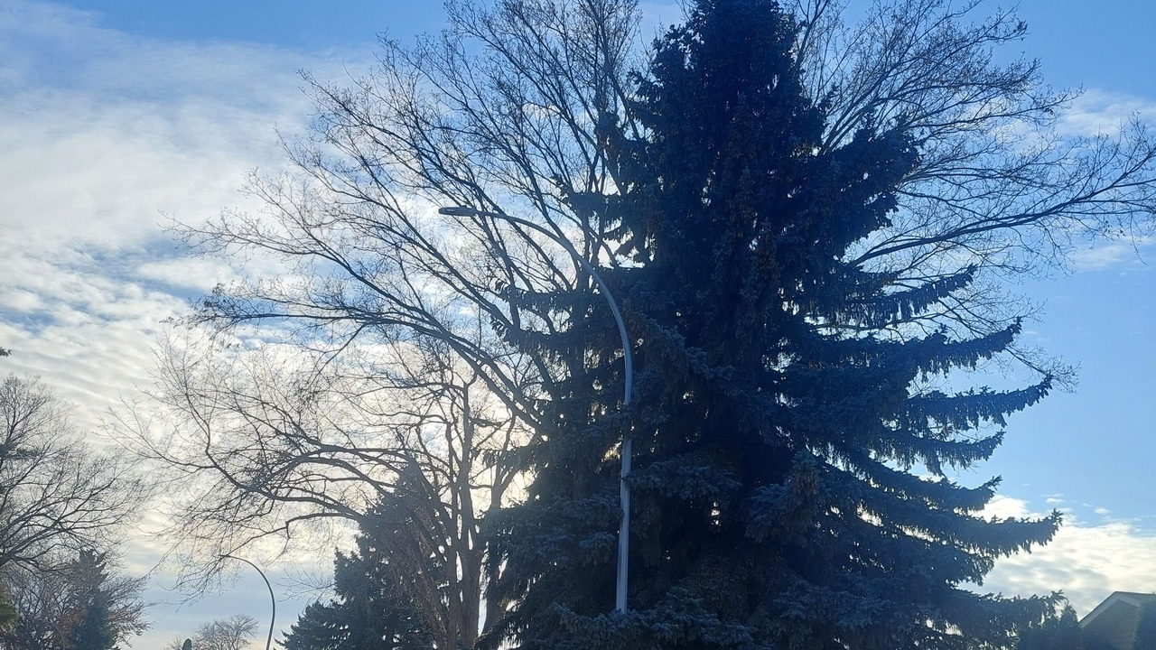 Photo of Others in Sherwood Park