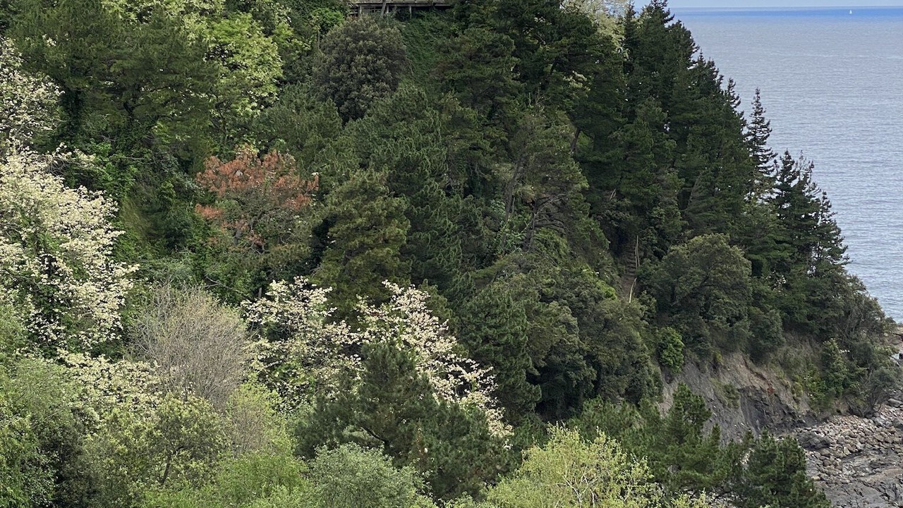 Photo of Outdoor in Mutriku