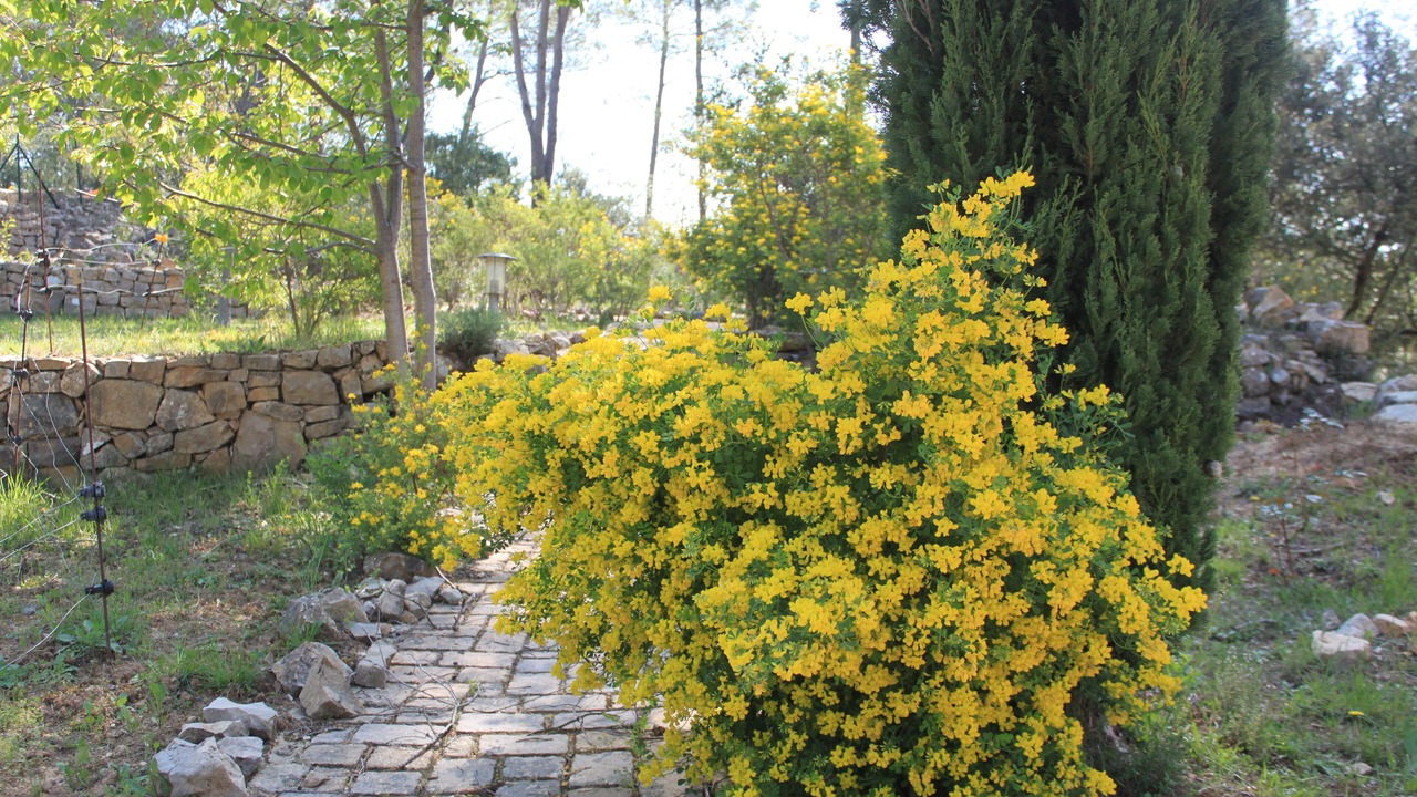 Photo of Outdoor in Entrecasteaux