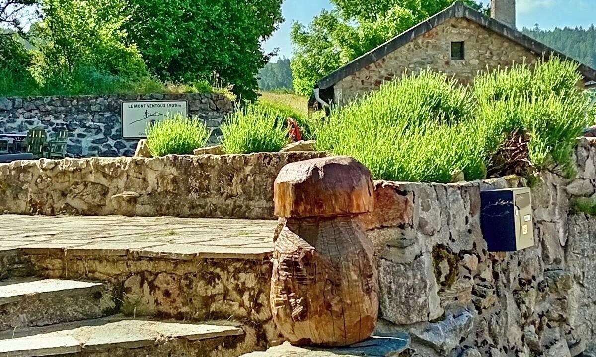 Photo of Outdoor in Mazan-l'Abbaye