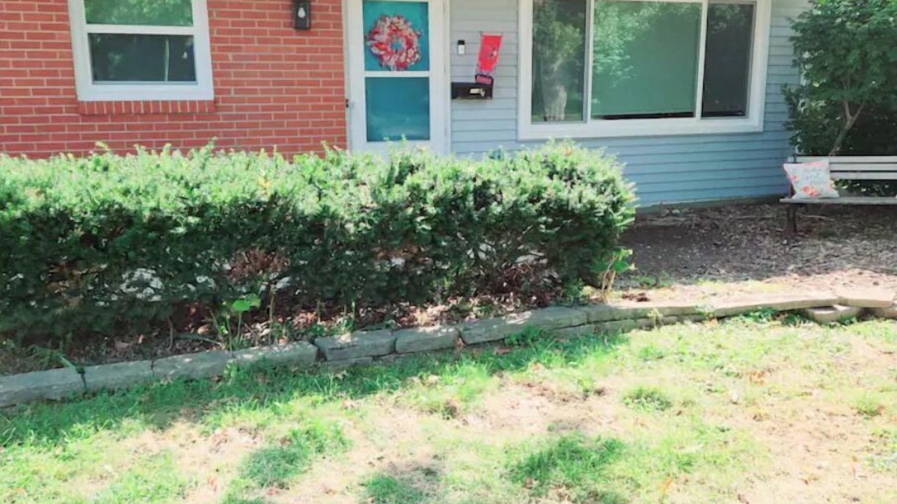 Photo of Outdoor in Normal