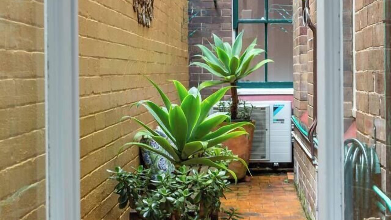 Photo of Others in Millers Point