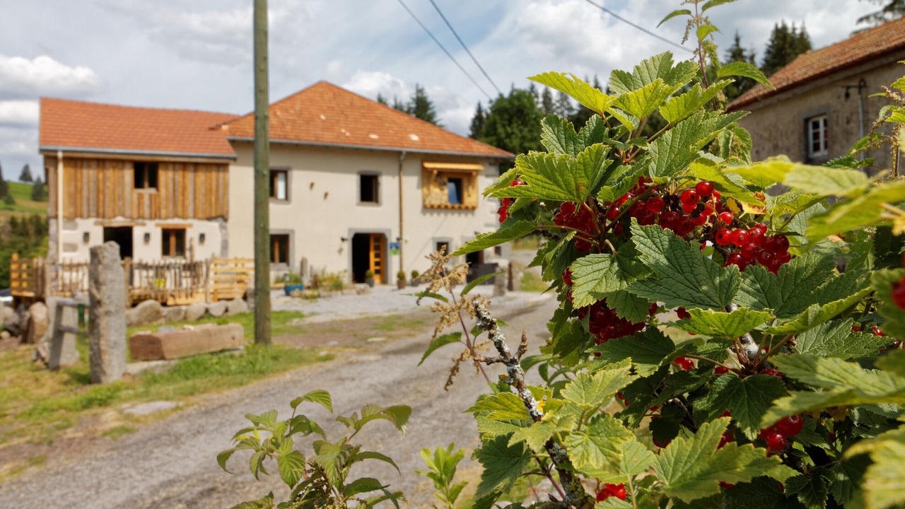 Photo of Outdoor in Saulxures-sur-Moselotte