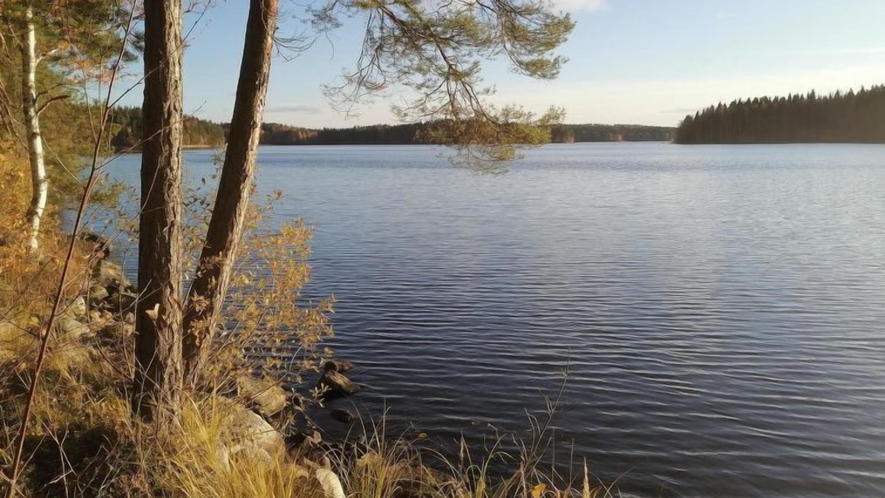 Photo of Others in Iltasmaki