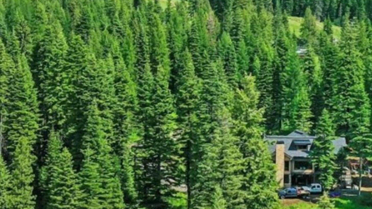 Photo of Outdoor in Tamarack Resort