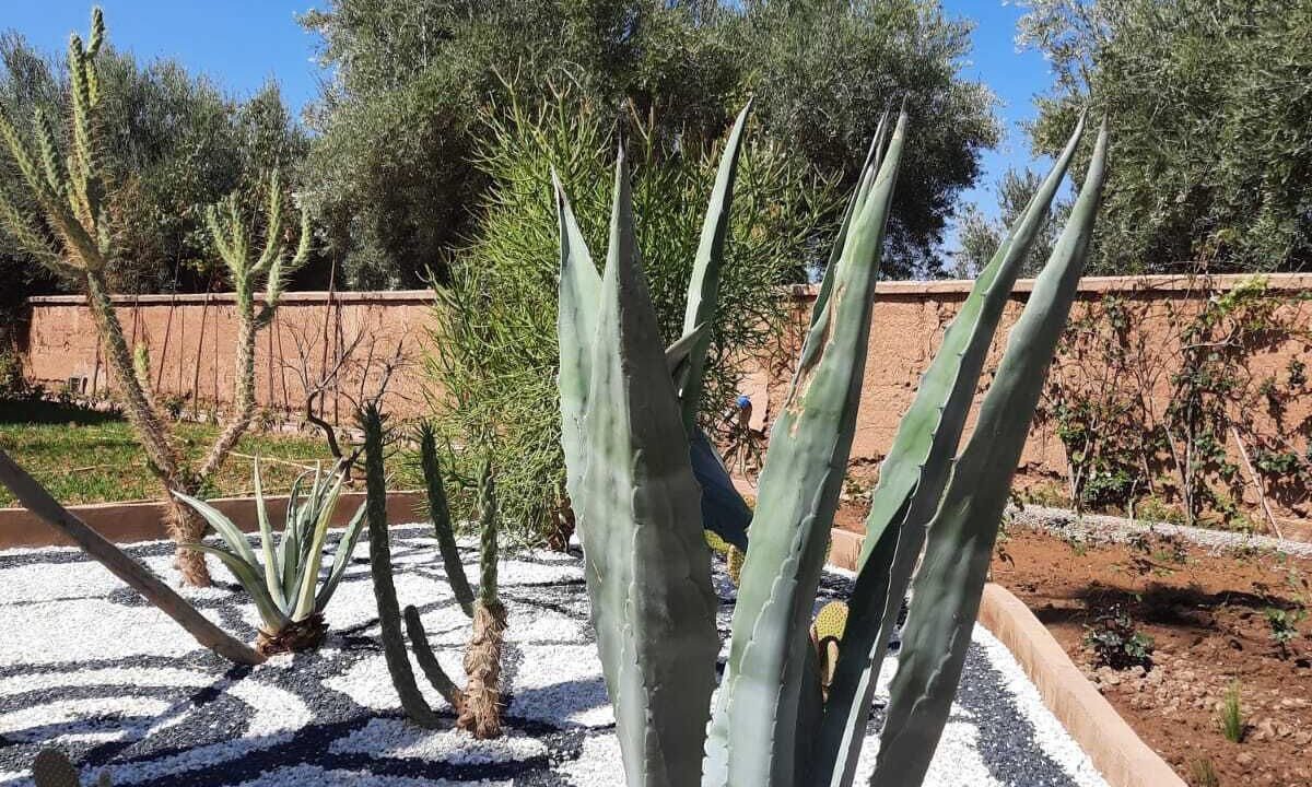 Photo of Outdoor in Sidi Abdallah Ghiat
