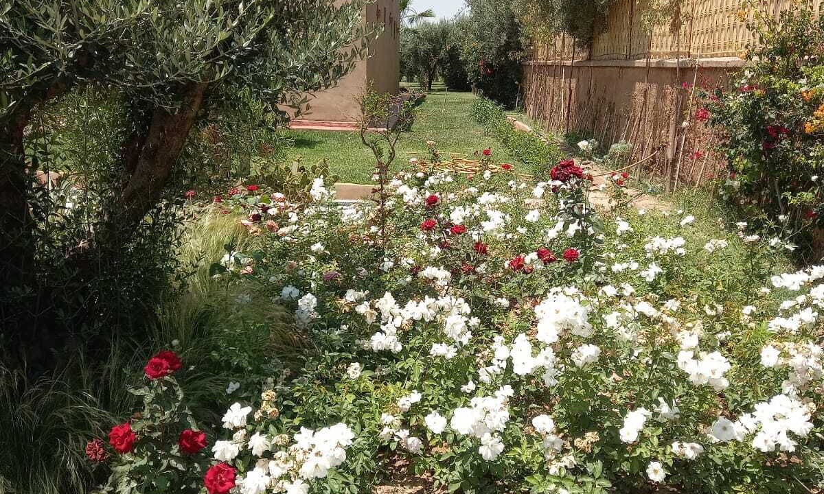 Photo of Outdoor in Sidi Abdallah Ghiat