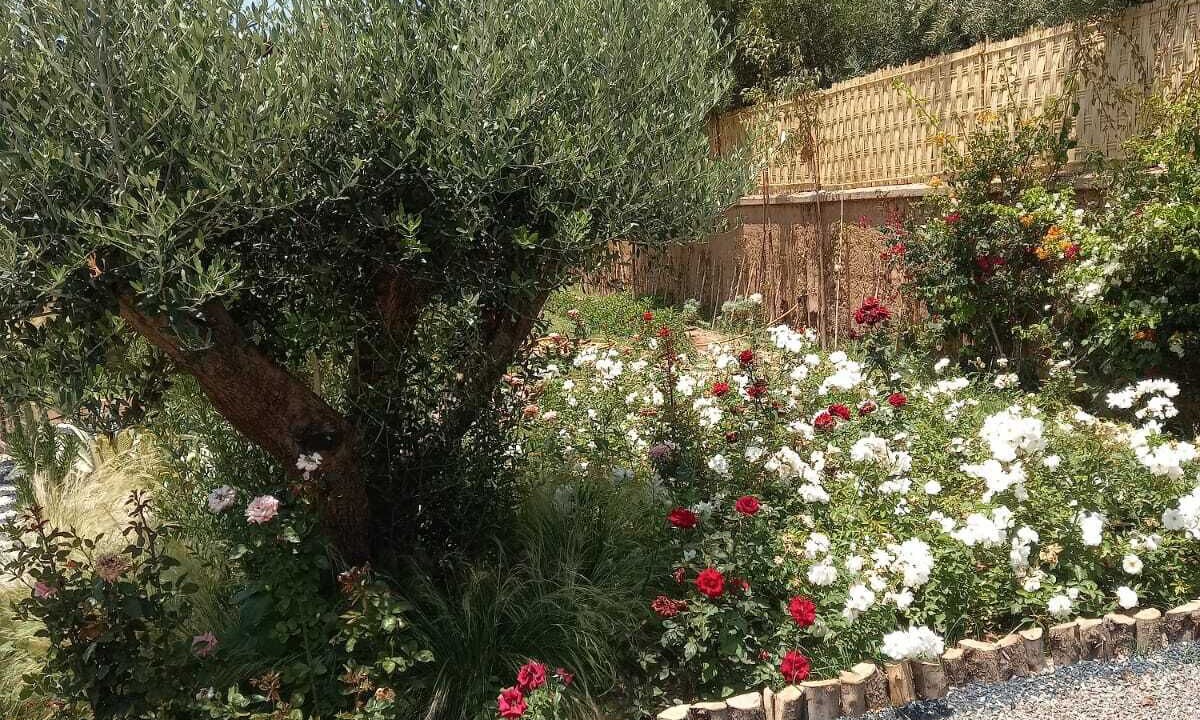 Photo of Outdoor in Sidi Abdallah Ghiat