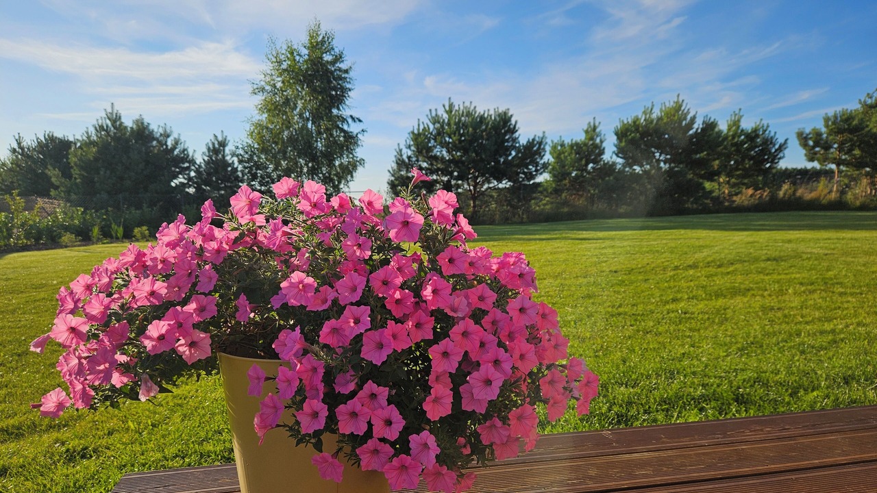 Photo of Outdoor in Kolczewo