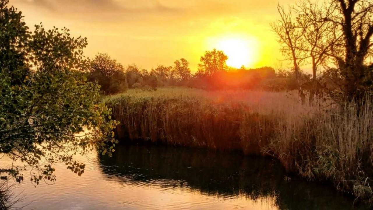 Photo of Outdoor in Bon Relax