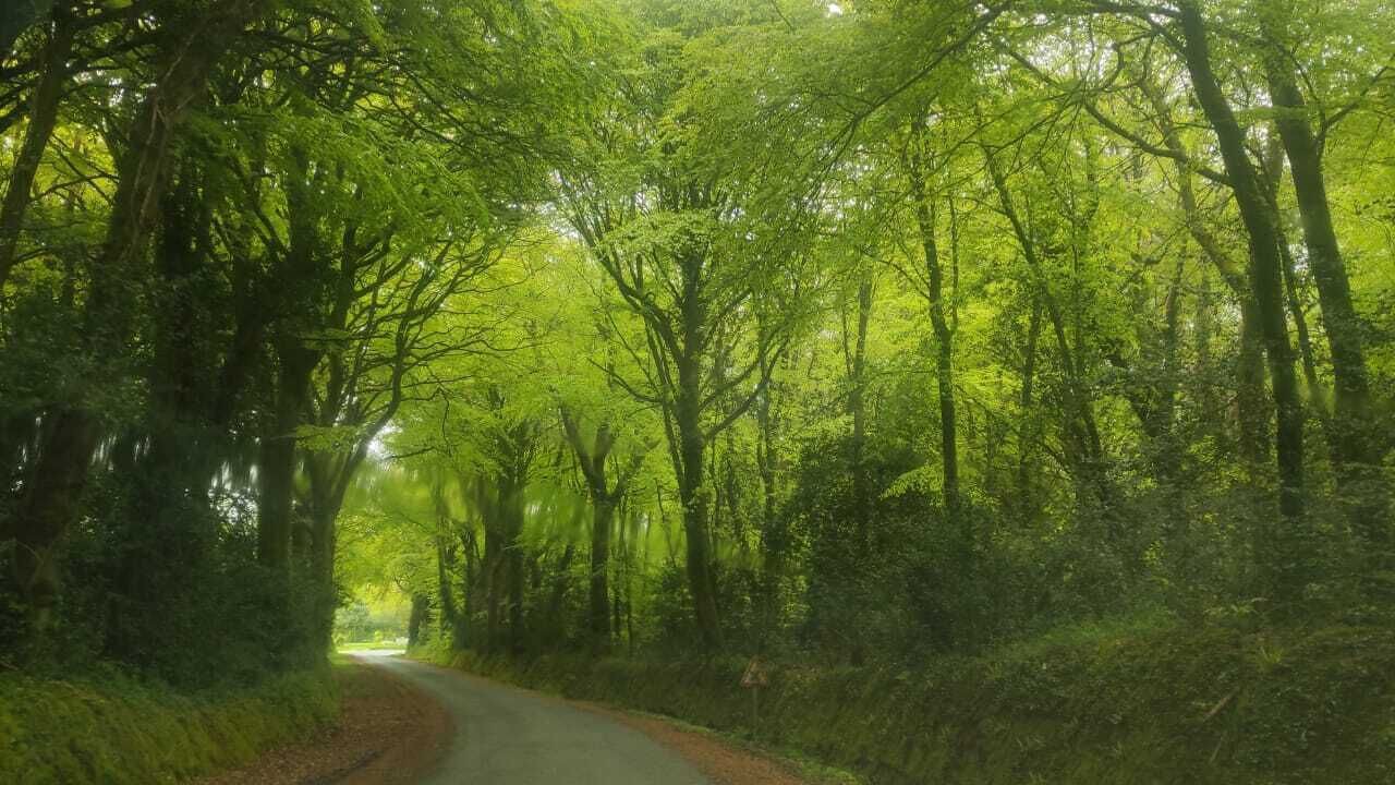 Photo of Outdoor in Varenguebec