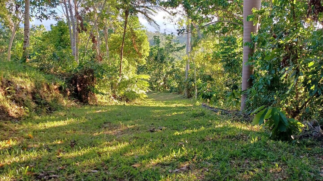 Photo of Outdoor in San Sebastian