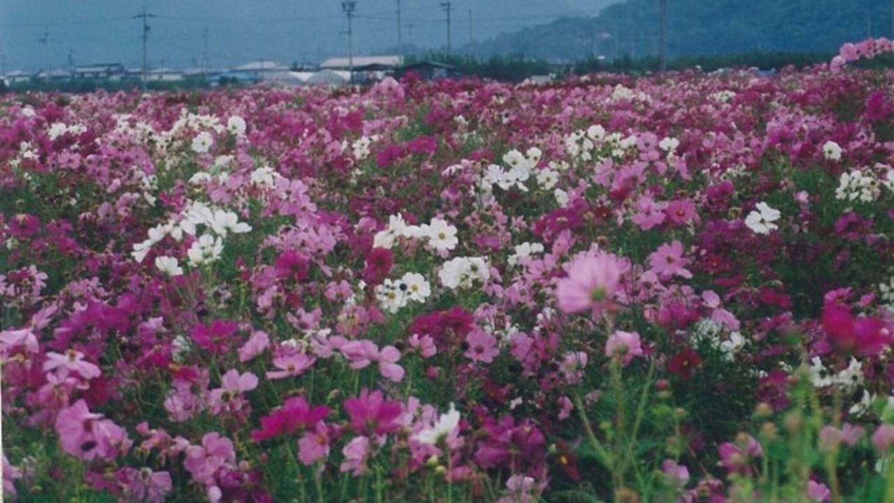 Photo of Others in Togura Kamiyamada Onsen