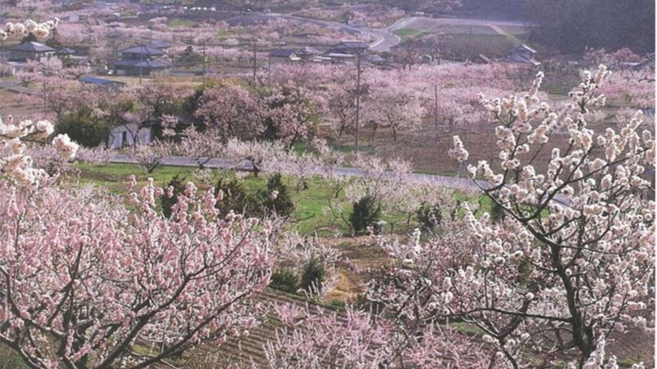 Photo of Others in Togura Kamiyamada Onsen