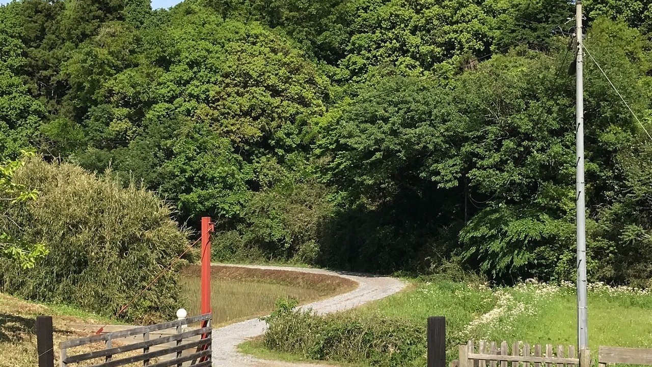 Photo of Outdoor in Miho-mura