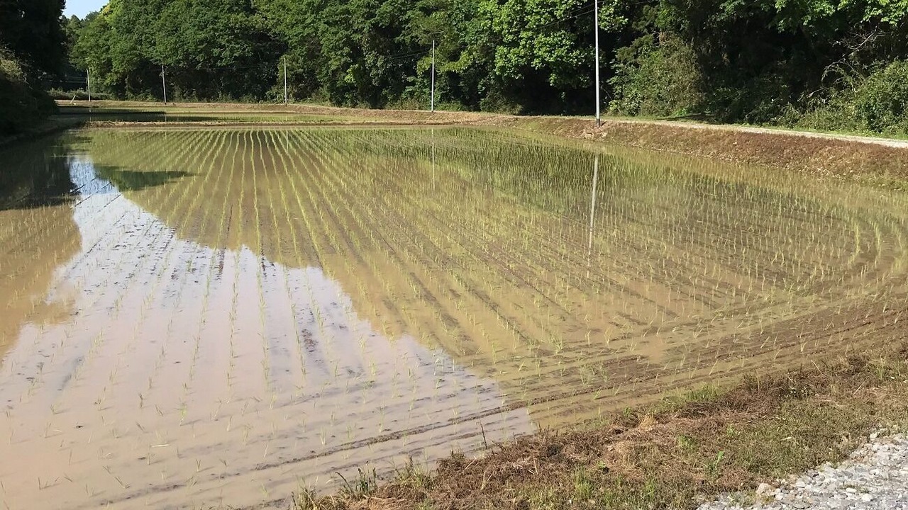 Photo of Outdoor in Miho-mura