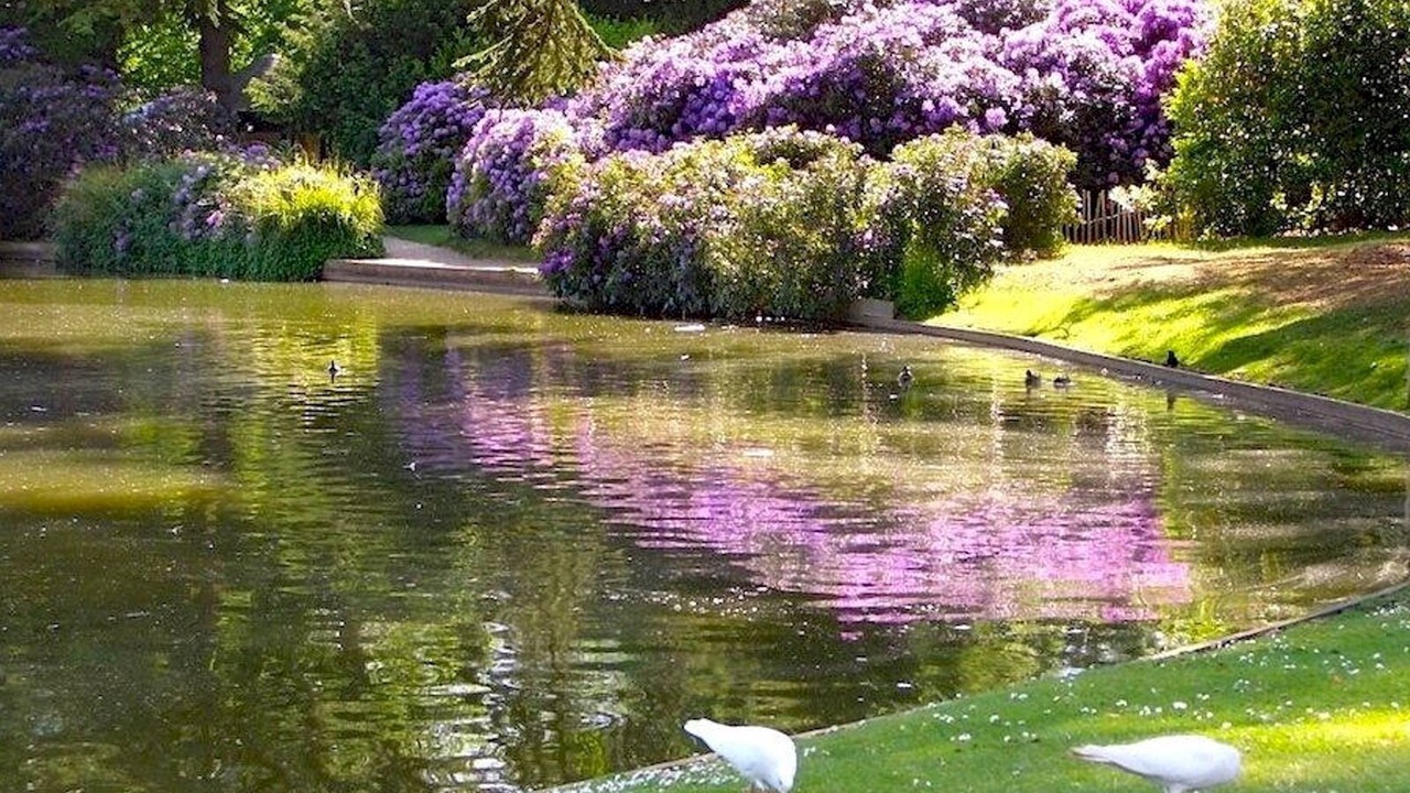 Photo of Outdoor in Walton-on-Thames