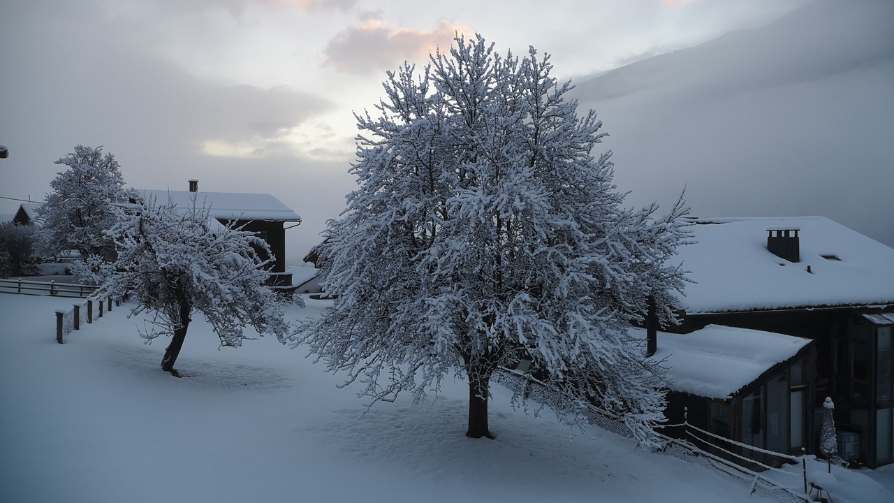 Photo of Outdoor in Trun
