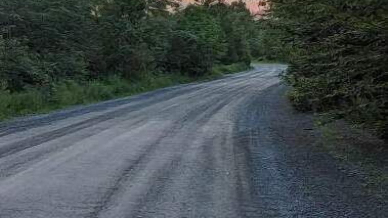 Photo of Others in Halifax County