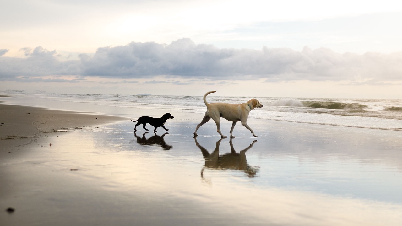 Photo of Others in Filey