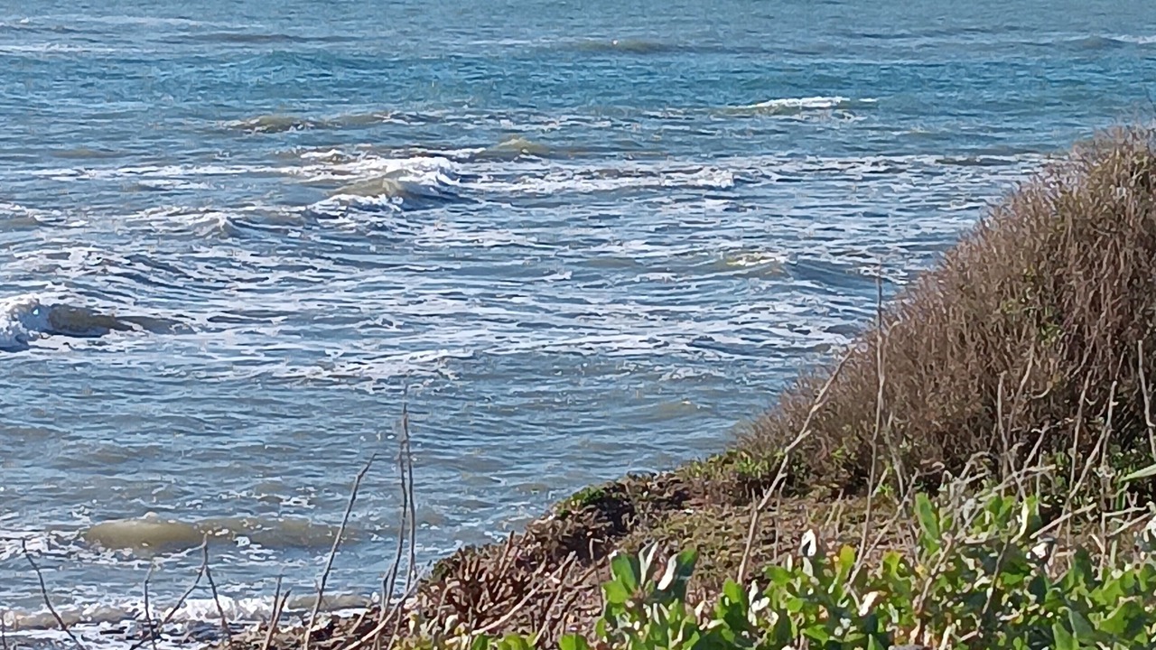 Photo of Others in Saint-Hilaire-de-Riez