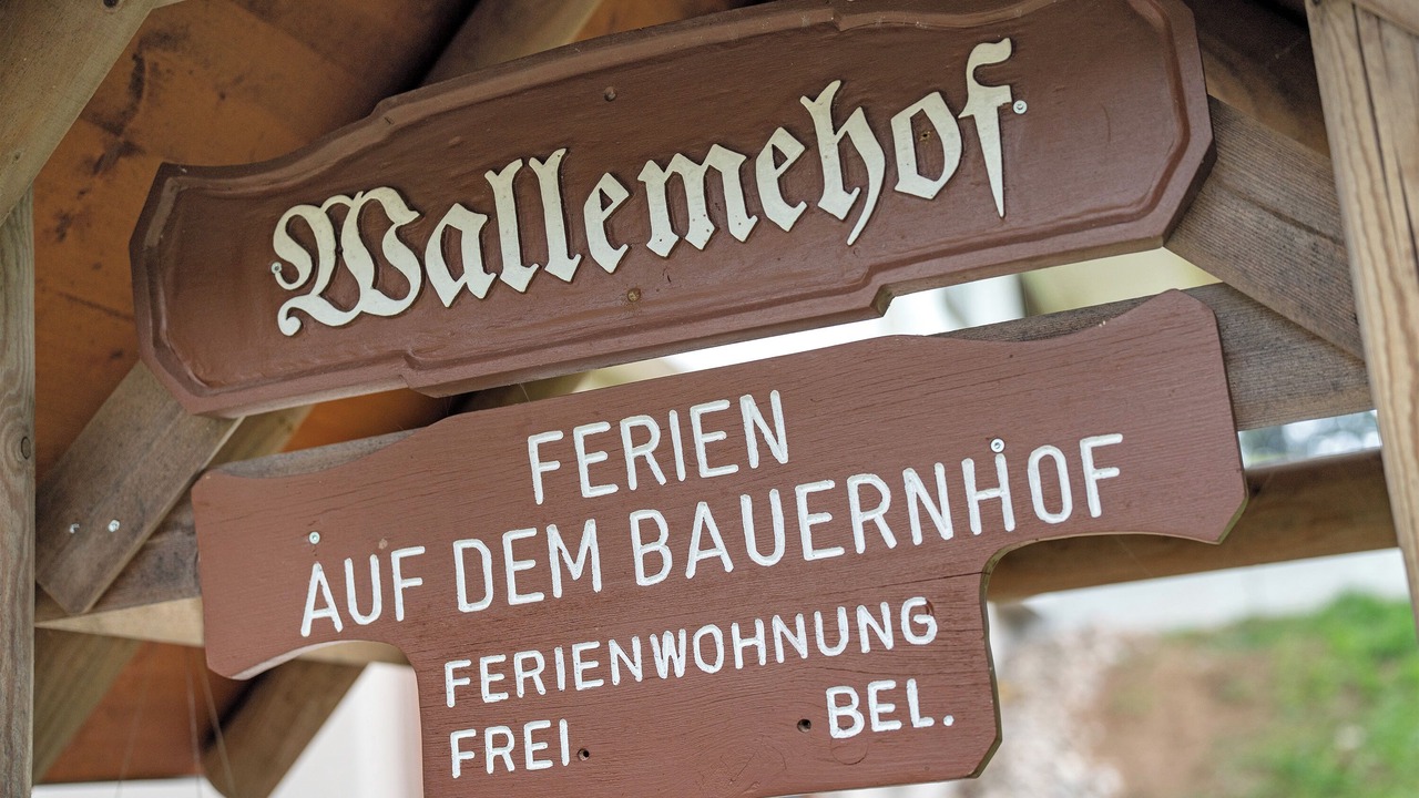Photo of Outdoor in Wolfach - Saint Roman