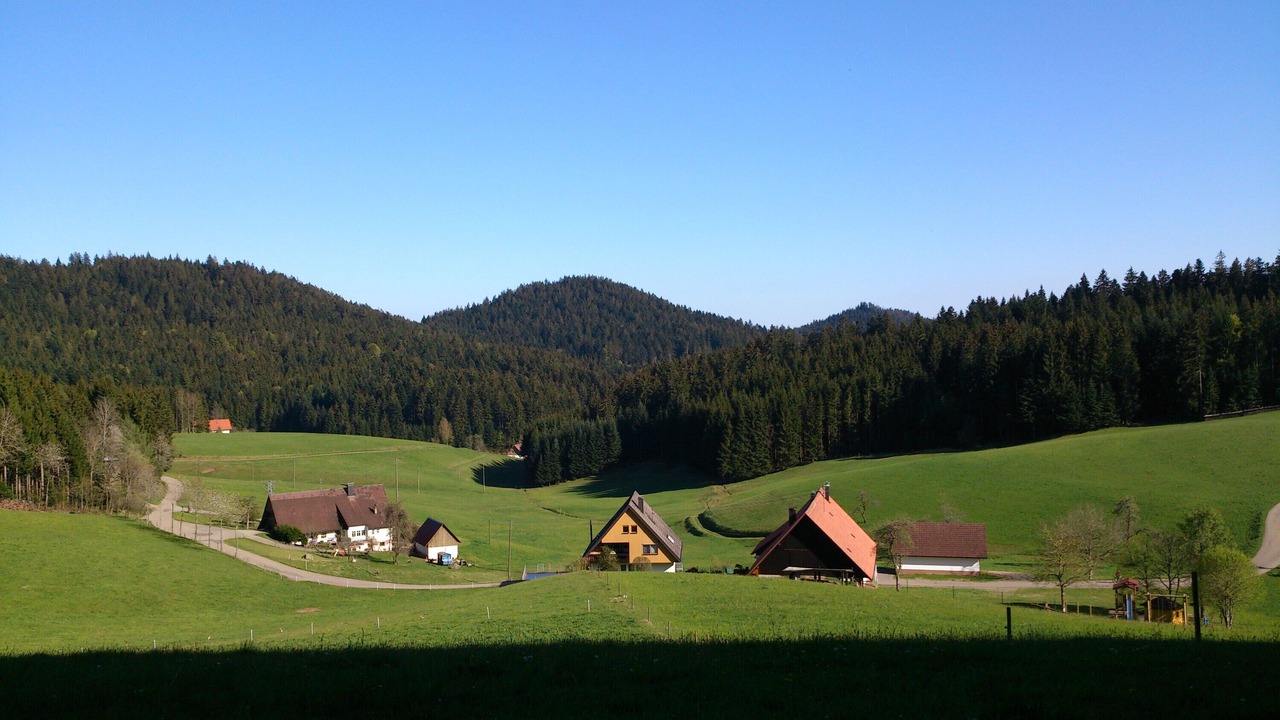 Photo of Others in Wolfach - Saint Roman