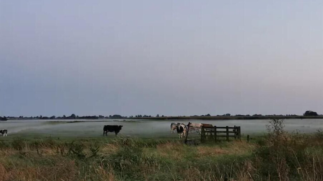 Photo of Others in Cabauw