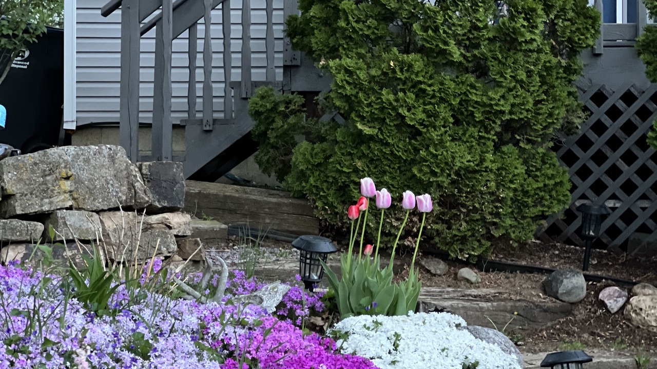 Photo of Outdoor in Elroy