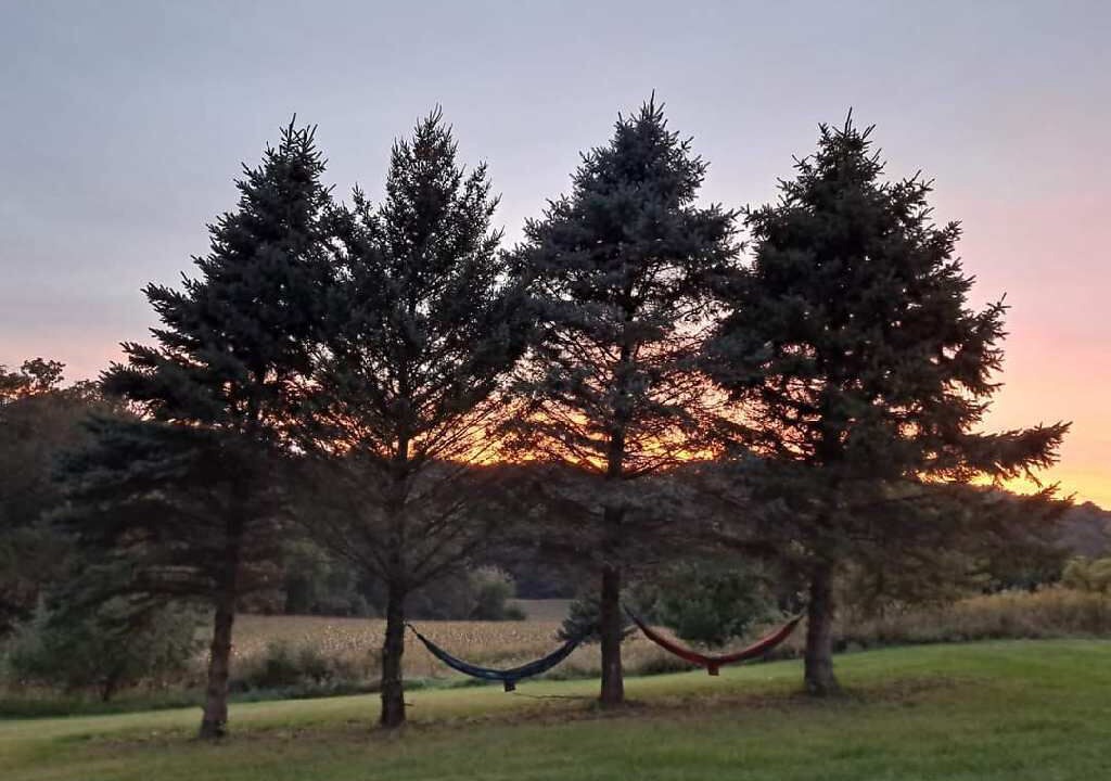 Photo of Outdoor in Elroy
