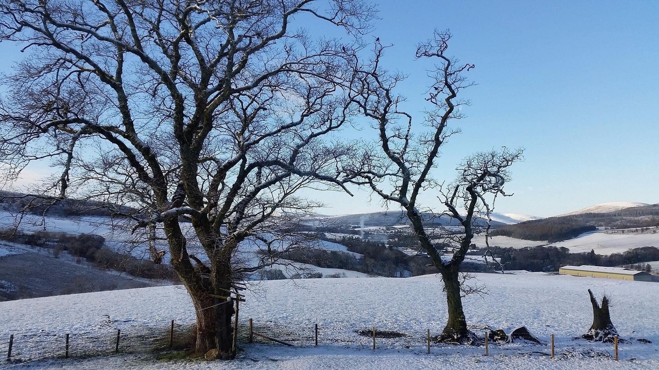 Photo of Outdoor in Aberlour