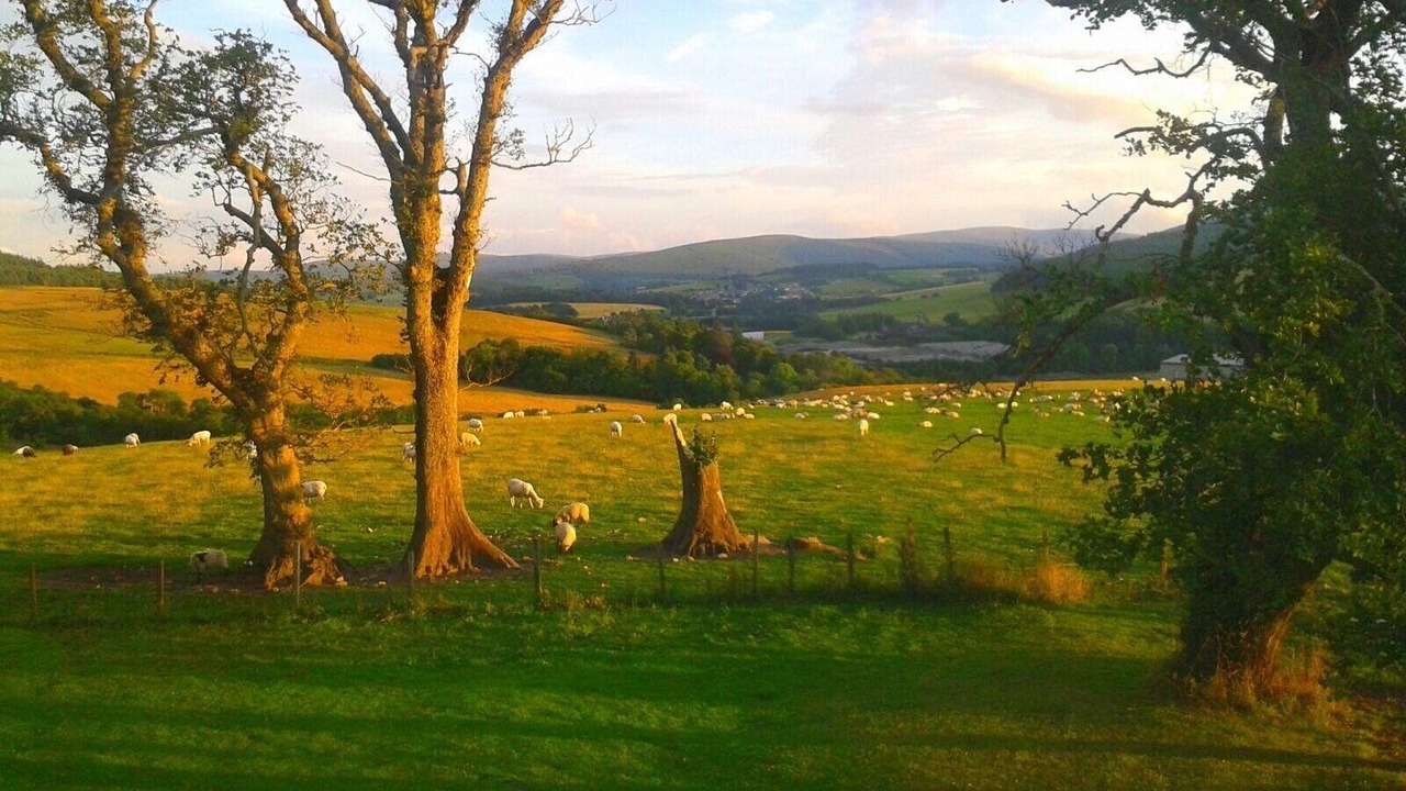 Photo of Others in Aberlour