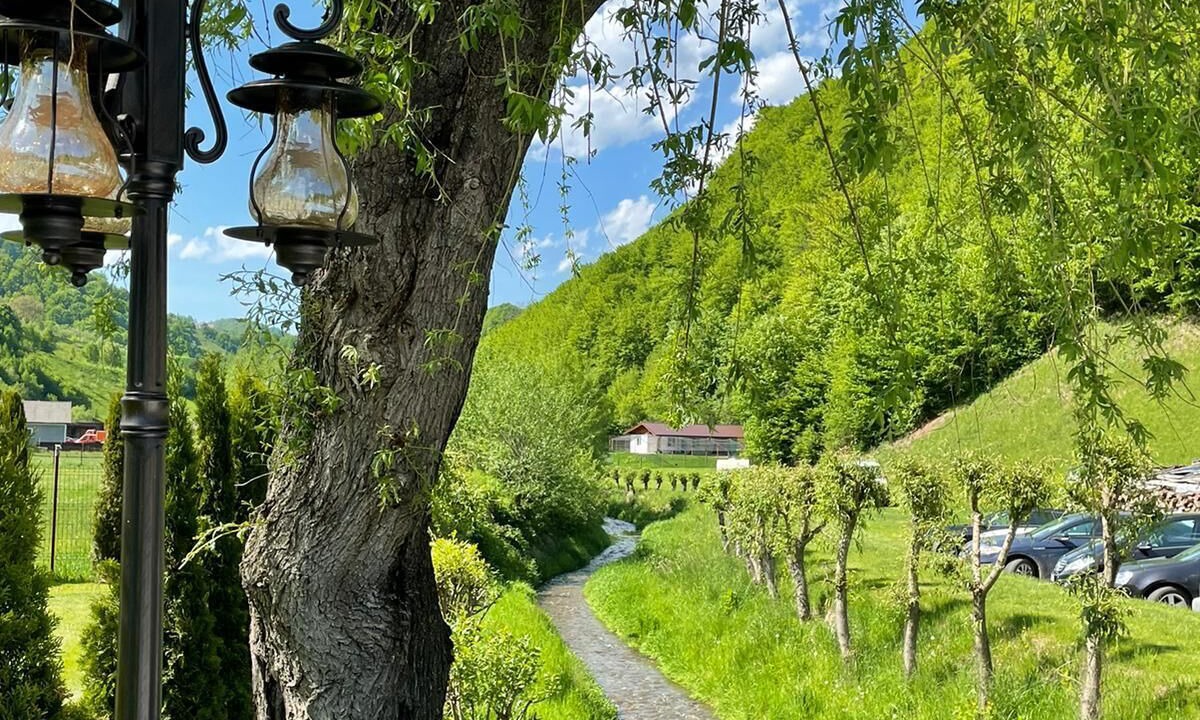Photo of Outdoor in Poiana Marului