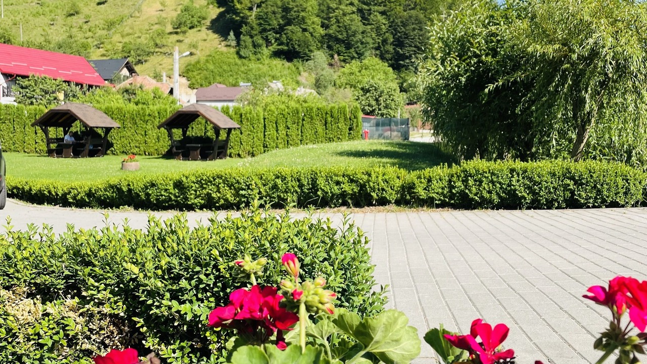 Photo of Outdoor in Poiana Marului