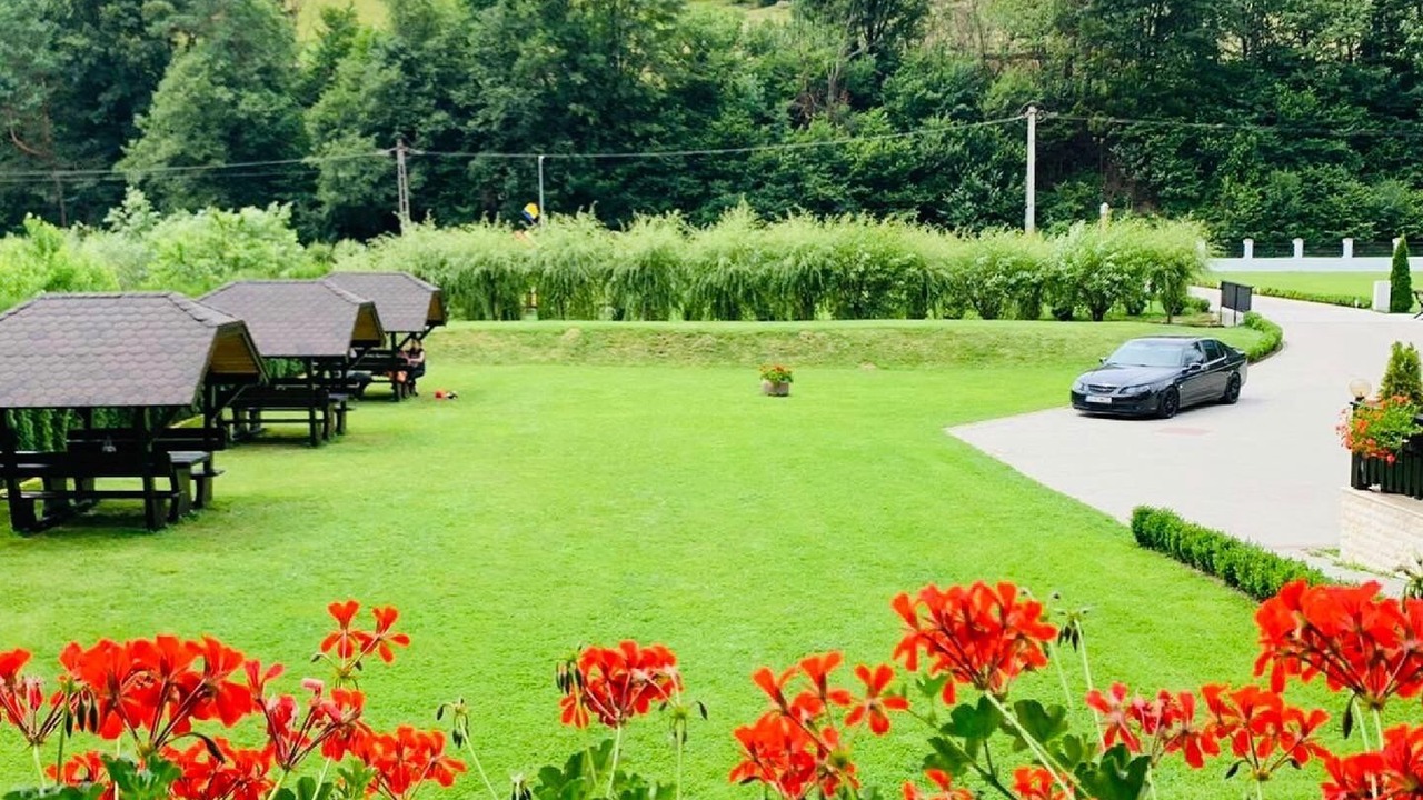 Photo of Outdoor in Poiana Marului